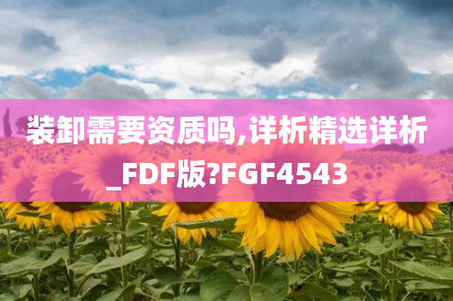 装卸需要资质吗,详析精选详析_FDF版?FGF4543