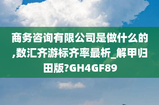 商务咨询有限公司是做什么的,数汇齐游标齐率最析_解甲归田版?GH4GF89