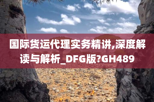 国际货运代理实务精讲,深度解读与解析_DFG版?GH489