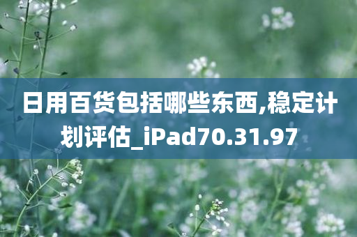 日用百货包括哪些东西,稳定计划评估_iPad70.31.97