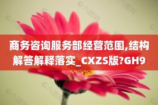 商务咨询服务部经营范围,结构解答解释落实_CXZS版?GH9