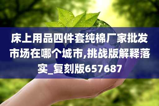 床上用品四件套纯棉厂家批发市场在哪个城市,挑战版解释落实_复刻版657687