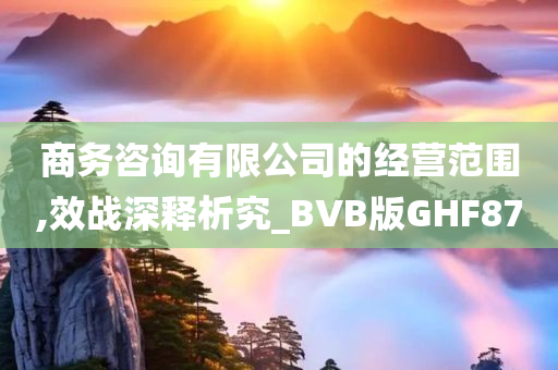 商务咨询有限公司的经营范围,效战深释析究_BVB版GHF87