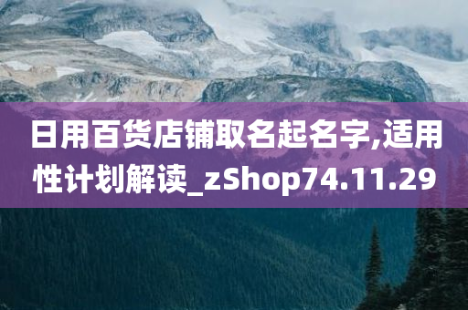 日用百货店铺取名起名字,适用性计划解读_zShop74.11.29