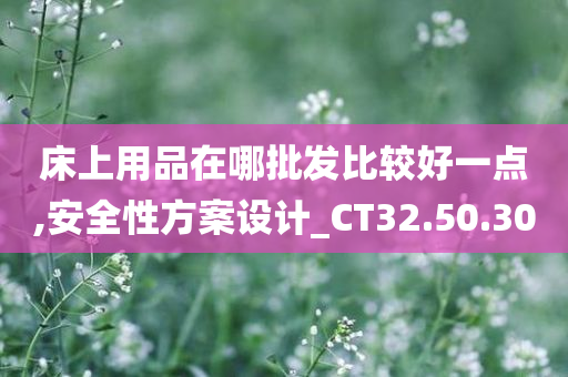 床上用品在哪批发比较好一点,安全性方案设计_CT32.50.30