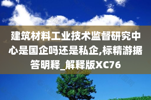 建筑材料工业技术监督研究中心是国企吗还是私企,标精游据答明释_解释版XC76