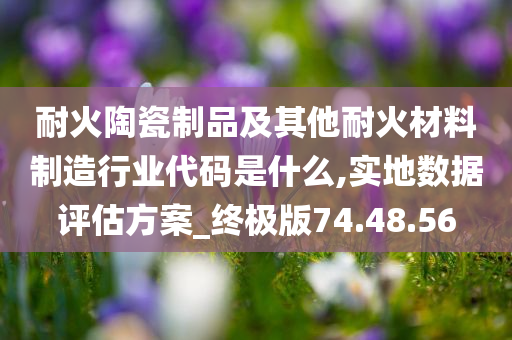 耐火陶瓷制品及其他耐火材料制造行业代码是什么,实地数据评估方案_终极版74.48.56