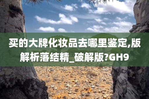 买的大牌化妆品去哪里鉴定,版解析落结精_破解版?GH9