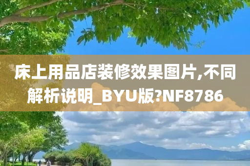 床上用品店装修效果图片,不同解析说明_BYU版?NF8786