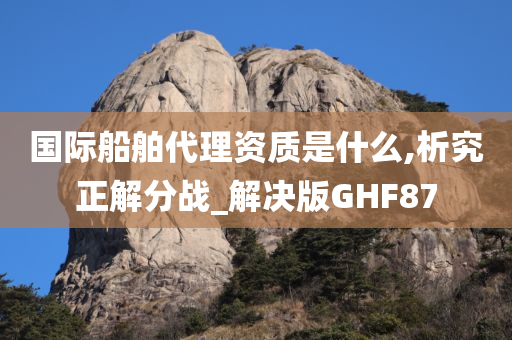 国际船舶代理资质是什么,析究正解分战_解决版GHF87