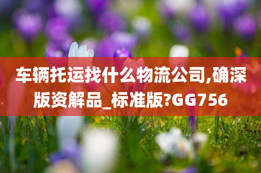 车辆托运找什么物流公司,确深版资解品_标准版?GG756