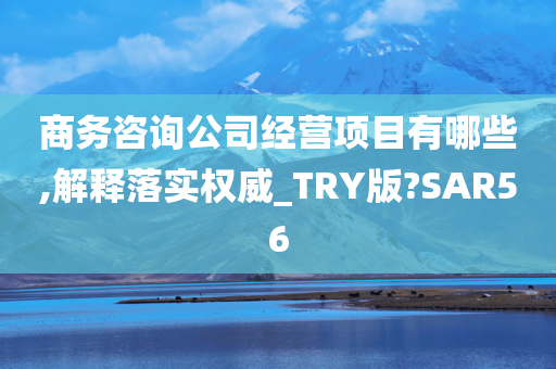 商务咨询公司经营项目有哪些,解释落实权威_TRY版?SAR56