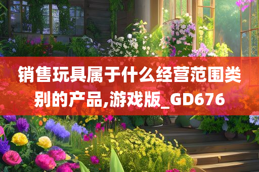 销售玩具属于什么经营范围类别的产品,游戏版_GD676