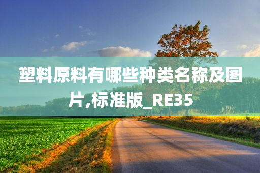 塑料原料有哪些种类名称及图片,标准版_RE35