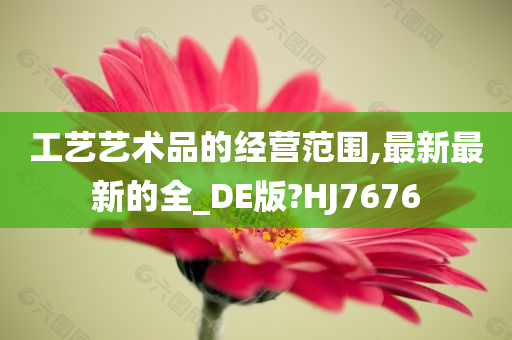 工艺艺术品的经营范围,最新最新的全_DE版?HJ7676