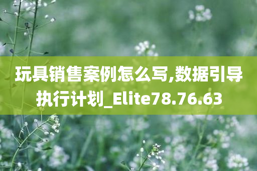 玩具销售案例怎么写,数据引导执行计划_Elite78.76.63