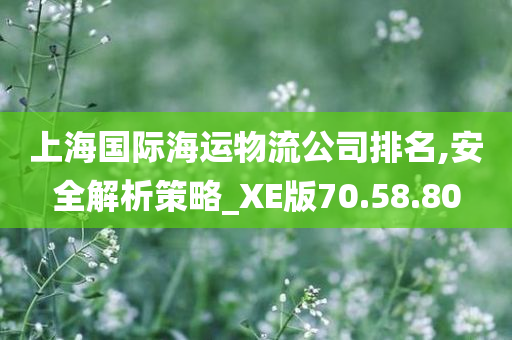 上海国际海运物流公司排名,安全解析策略_XE版70.58.80