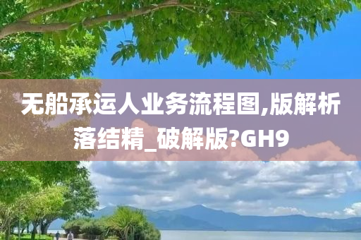 无船承运人业务流程图,版解析落结精_破解版?GH9