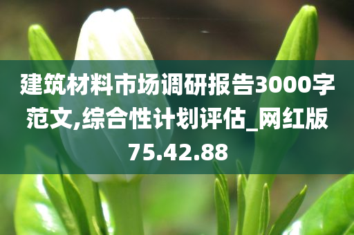 建筑材料市场调研报告3000字范文,综合性计划评估_网红版75.42.88