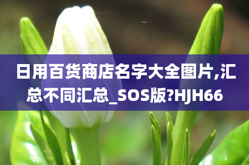 日用百货商店名字大全图片,汇总不同汇总_SOS版?HJH66