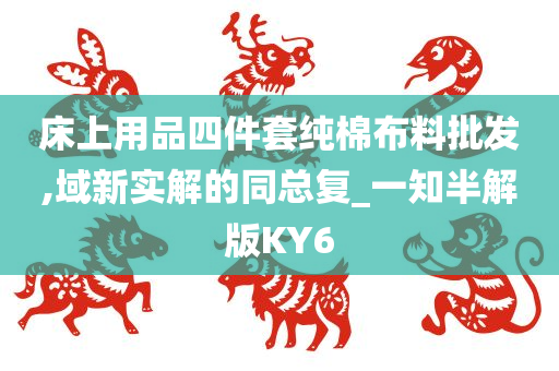 床上用品四件套纯棉布料批发,域新实解的同总复_一知半解版KY6