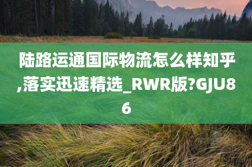 陆路运通国际物流怎么样知乎,落实迅速精选_RWR版?GJU86