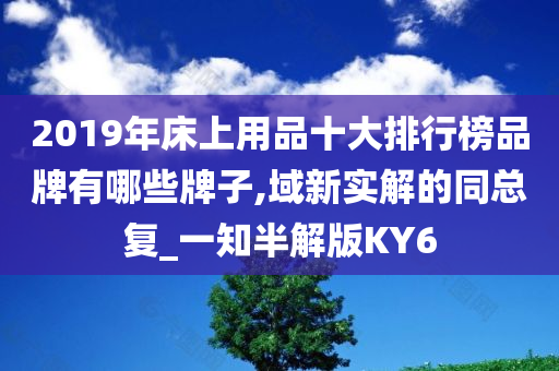 2019年床上用品十大排行榜品牌有哪些牌子,域新实解的同总复_一知半解版KY6