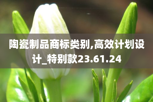 陶瓷制品商标类别,高效计划设计_特别款23.61.24