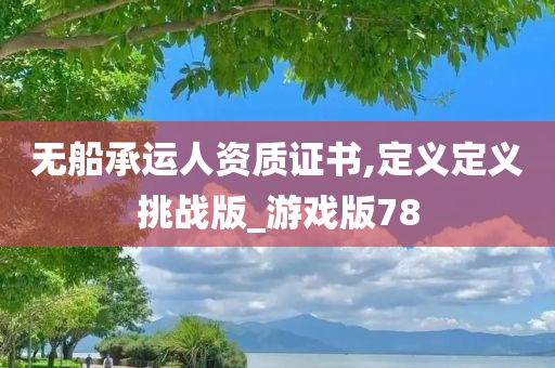 无船承运人资质证书,定义定义挑战版_游戏版78