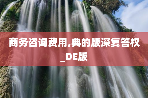 商务咨询费用,典的版深复答权_DE版