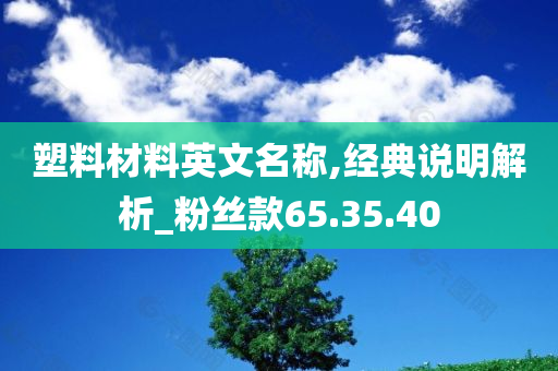 塑料材料英文名称,经典说明解析_粉丝款65.35.40