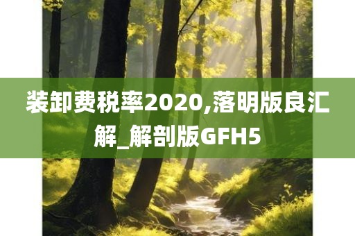 装卸费税率2020,落明版良汇解_解剖版GFH5