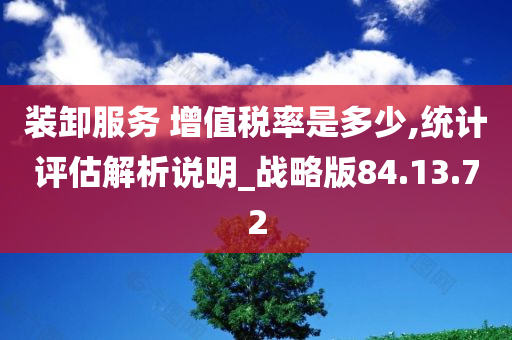 装卸服务 增值税率是多少,统计评估解析说明_战略版84.13.72