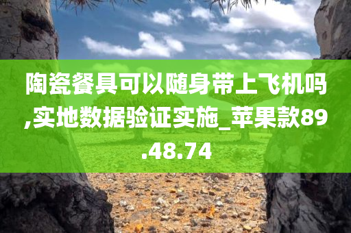 陶瓷餐具可以随身带上飞机吗,实地数据验证实施_苹果款89.48.74