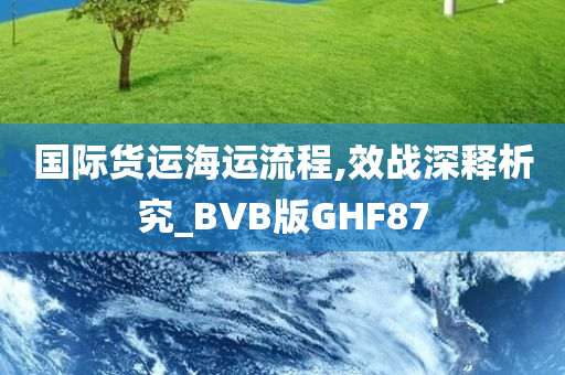 国际货运海运流程,效战深释析究_BVB版GHF87