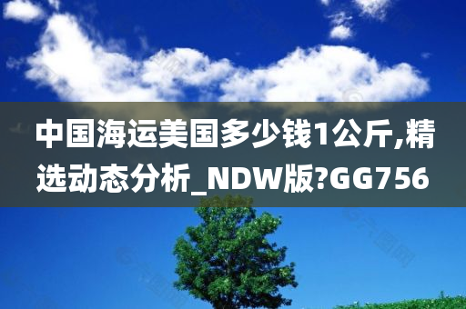 中国海运美国多少钱1公斤,精选动态分析_NDW版?GG756