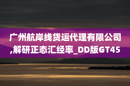 广州航岸线货运代理有限公司,解研正态汇经率_DD版GT45