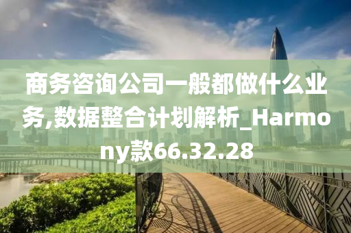 商务咨询公司一般都做什么业务,数据整合计划解析_Harmony款66.32.28