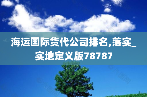 海运国际货代公司排名,落实_实地定义版78787