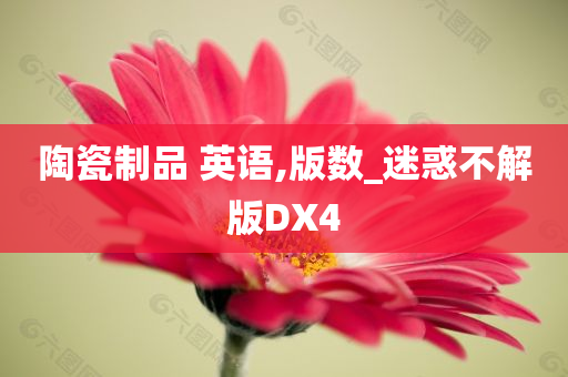 陶瓷制品 英语,版数_迷惑不解版DX4