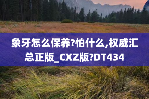 象牙怎么保养?怕什么,权威汇总正版_CXZ版?DT434