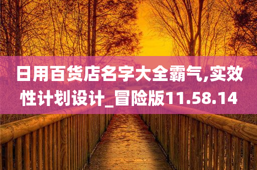 日用百货店名字大全霸气,实效性计划设计_冒险版11.58.14