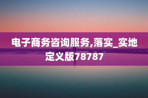 电子商务咨询服务,落实_实地定义版78787