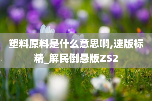 塑料原料是什么意思啊,速版标精_解民倒悬版ZS2