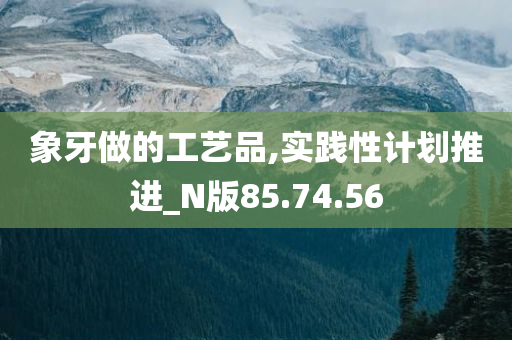 象牙做的工艺品,实践性计划推进_N版85.74.56