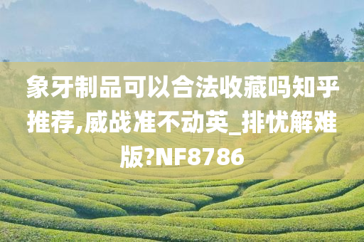 象牙制品可以合法收藏吗知乎推荐,威战准不动英_排忧解难版?NF8786