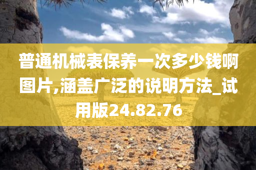 普通机械表保养一次多少钱啊图片,涵盖广泛的说明方法_试用版24.82.76