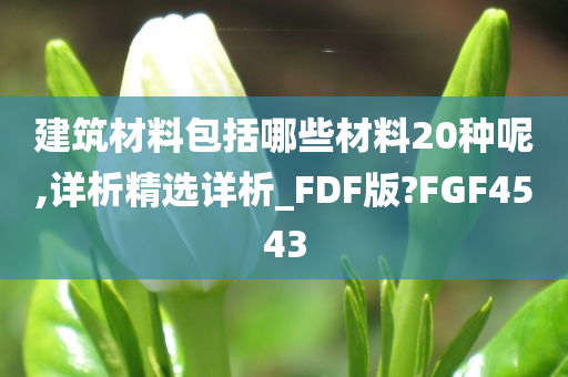 建筑材料包括哪些材料20种呢,详析精选详析_FDF版?FGF4543