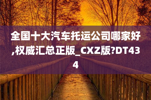 全国十大汽车托运公司哪家好,权威汇总正版_CXZ版?DT434