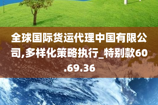 全球国际货运代理中国有限公司,多样化策略执行_特别款60.69.36